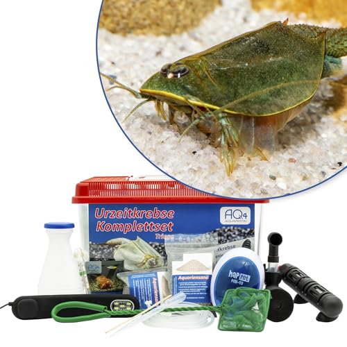 AQ4Aquaristik Triops australiensis Ayers Rock (grün) Premium Komplettset 6L mit LED, Filterung. Heizung, Zuchtansatz, Zubehör von AQ4Aquaristik