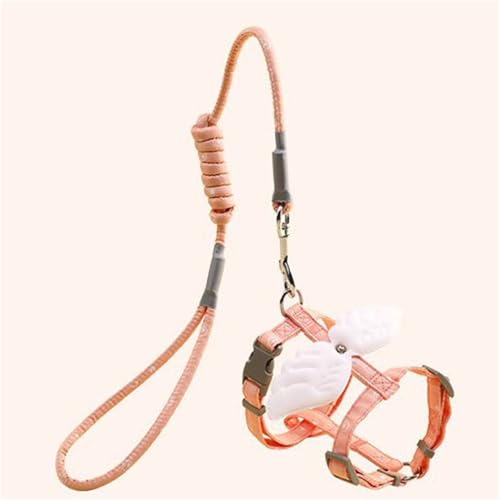 Katzengeschirr und Katzenleine Set,Verstellbare Nylon Geschirre Katzenleine, Ausbruchsicher Katzen Leine,Katzenweste mit Sicherheitsschnalle, Welpengeschirr für Kätzchen Welpe Kaninchen Hase (12,M) von AQCQDQ