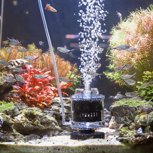 AQQA Aquarium Schwammfilter, Klein Aquarium Filter Bio,Aquarium Innenfilter Sauerstoff Dissolver mit Luftstein,für Züchtung Fry Shrimp Betta Fisch Tank von AQQA