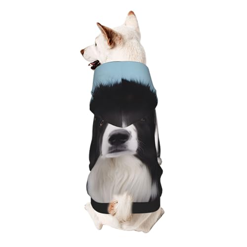 Border Collie Kapuzenpullover für Welpen, weich, gemütlich und atmungsaktiv, niedliche Haustierkleidung für Hunde, Katzen, kleine Haustiere, Größe XL von AQRJLPO