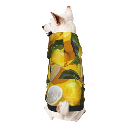 Yellow Lemons Hunde-Kapuzenpullover, weich, gemütlich und atmungsaktiv, niedliche Haustierkleidung für Hunde, Katzen, kleine Haustiere, Größe M von AQRJLPO