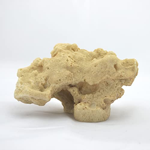 Felsen/Stein,16 x 9 x 9 cm, Meerwasser Riffgestein, Aquarium Deko Nachbildung von AQUARIUM PLÜDERHAUSEN