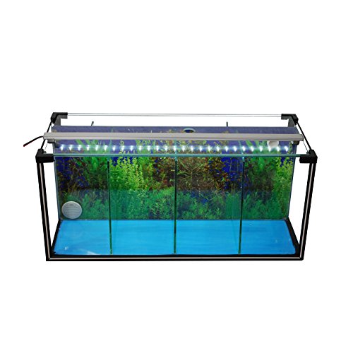 Komplettset Aquarium Zucht-Becken Betta 24 L, Garnelen-, Aufzucht-, Kampffisch-Aquarium von AQUARIUM PLÜDERHAUSEN