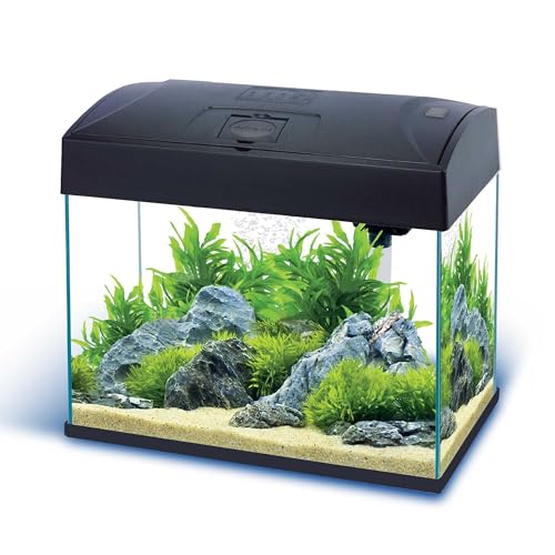 Nano-Komplett-Aquarium 20 L, kratzfestes Glas, inkl. Filter, Pumpe,LED-Beleuchtung von AA Aquarium