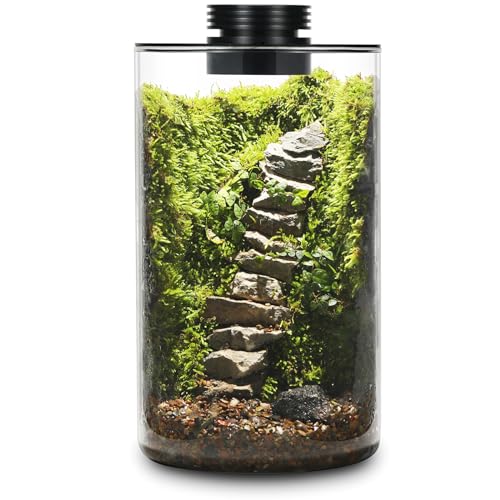 Tisch-Terrarium aus Glas mit Wachstumslicht (H: 24,9 cm, T: 15 cm), für Sukkulenten, Moos, Miniaturgartenlandschaft, Betta-Fischtank, Zimmerpflanzenwachstum, Büro, Heimdekoration, Pflanzenliebhaber, von AREPK