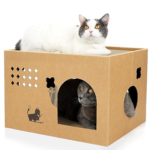 Katzenhaus aus Karton mit 2 Kratzpads, großes Katzenkratzbett, Katzenkratzer, Lounge für Indoor-Katzen, mit Wellpappe, abnehmbare Katzenkratzbox für Katzen (Kaktus) von ARGOPET