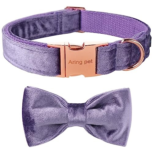 ARING PET Hundehalsband, Samt-Hundehalsband mit abnehmbarer Fliege, niedliches und bequemes violettes Hundehalsband, Größe L. von ARING PET