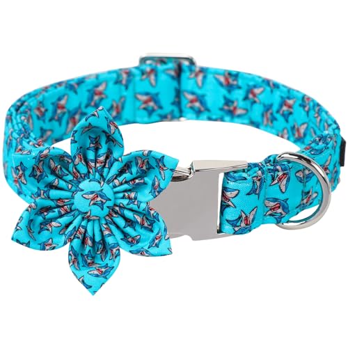 ARING PET Summer Dog Collar-Cute Blue Dog Collar with Flower Adjustable Shark Dog Collar Puppy Collars with Metal Buckle for Small Medium Large Dogs von ARING PET