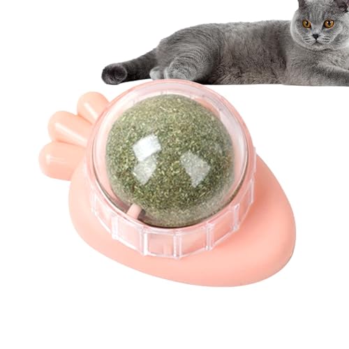 ARIOU Katzenminze Bälle - Essbare Katze Leckspielzeug | Katze Kauspielzeug | Zahnreinigung Katze Biss Spielzeug | Katzen Wand Katzenminze Rollerball Wandspielzeug | Drehbares Indoor Katzenspielzeug | von ARIOU