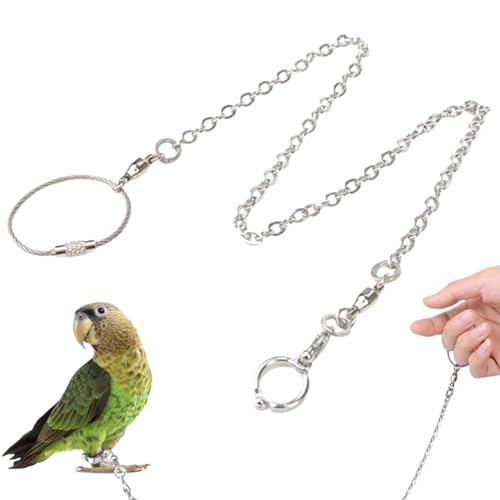 ARIOU Papageien-Fußkette, Indoor-Vogel-Anti-Off-Fußkettchen, Spatzenkette, Vogel-Fußkette, Traktionsgeschirr, Vogel-Trainingszubehör, Edelstahl-Fußkettchen-Ring für das Haustier-Training von ARIOU