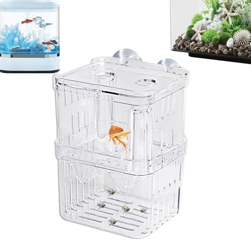 Fischzuchtbox - Fisch Isolationsbox | Transparente Fischisolationsbox | Acryl Aquarium Brutkasten | Fischaklimatisierungsbox Kindergarten für Babyfische, Garnelen, Betta und Guppy von ARIOU