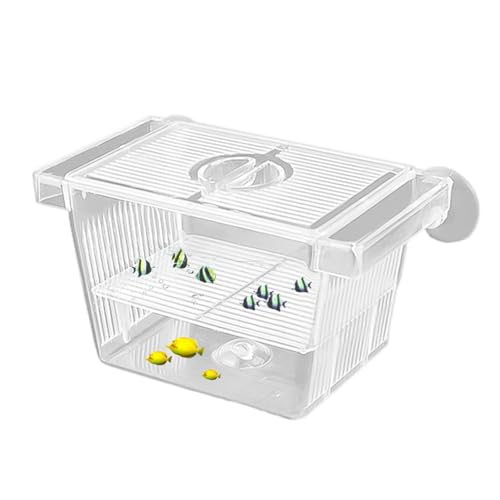 Fischzuchtbox - Fisch Isolationsbox | Transparente Fischisolationsbox | Acryl Aquarium Brutkasten | Fischaklimatisierungsbox Kindergarten für Babyfische, Garnelen, Betta und Guppy von ARIOU