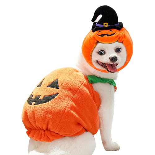 Welpenkürbis-Kostüm – Halloween-Hundekostüm, warmes Halloween-Outfit, lustiges warmes Outfit für Welpen, süßes Hunde-Festival-Kleidung für Hunde, Haustiere, Cosplay von ARIOU