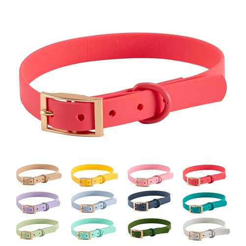 Halsband PVC Wasserabweisend |Arizona Hotdogs Hundehalsband Aries | Rot | 23-31 cm S von ARIZONA HOT DOGS