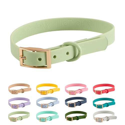 Halsband PVC Wasserabweisend |Arizona Hotdogs Hundehalsband Gemini | Pastellgrün | 23-31 cm S von ARIZONA HOT DOGS