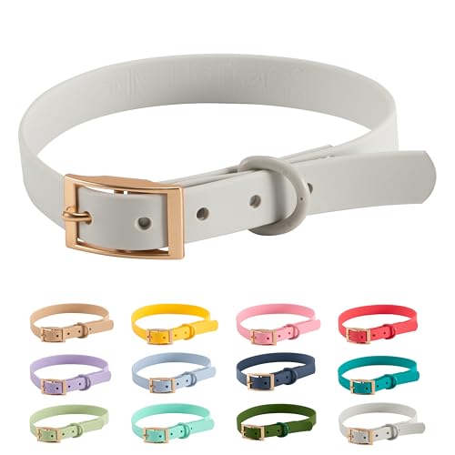 Halsband PVC Wasserabweisend |Arizona Hotdogs Hundehalsband Grau | 23-31 cm S von ARIZONA HOT DOGS