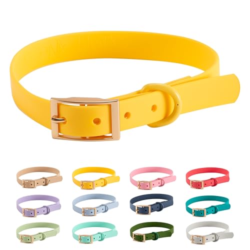 Halsband PVC Wasserabweisend |Arizona Hotdogs Hundehalsband Leo | Gelb | 23-31 cm S von ARIZONA HOT DOGS