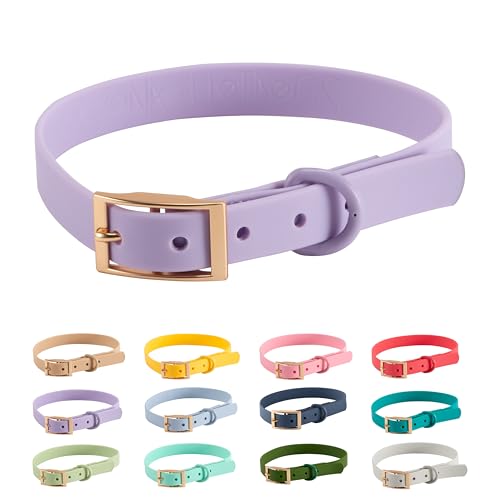 Halsband PVC Wasserabweisend |Arizona Hotdogs Hundehalsband | Lila | 23-31 cm S von ARIZONA HOT DOGS