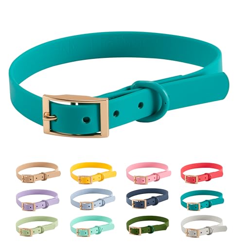 Halsband PVC Wasserabweisend |Arizona Hotdogs Hundehalsband Pisces | Teal Blaugrün | 23-31 cm S von ARIZONA HOT DOGS