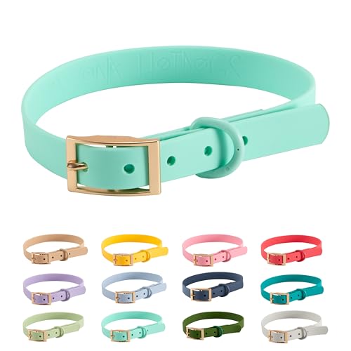 Halsband personalisierbar PVC Wasserabweisend |Arizona Hotdogs Hundehalsband | Türkis | 23-31 cm S von ARIZONA HOT DOGS