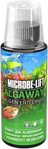 Microbe-Lift Algaway - 118 ml - Algenvernichter - Schnelle & effektive Algenbekämpfung für Süßwasseraquarien, verhindert Neubildung, sicher für Fische und Pflanzen. von MICROBE-LIFT