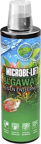 MICROBE-LIFT Algaway - 473 ml - Algenvernichter - Schnelle & effektive Algenbekämpfung für Süßwasseraquarien, verhindert Neubildung, sicher für Fische und Pflanzen von ARKA