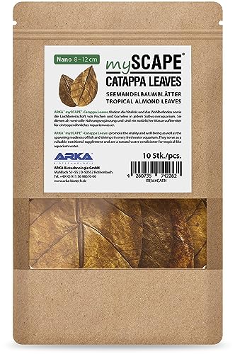 ARKA mySCAPE-CATAPPA Leaves - 8-12cm / 10 Stück - Natürlicher Wasseraufbereiter aus Seemandelbaumblättern für Süßwasseraquarien, verbessert Gesundheit von Fischen & Garnelen von ARKA