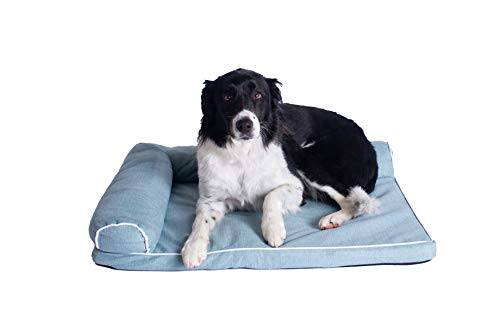 Armarkat D08B Hundebett, Einheitsgröße, Blau von ARMARKAT