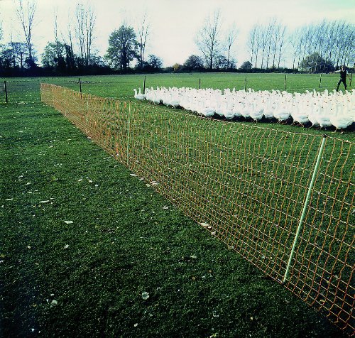 ARNDT Gartenzaun Geflügelnetz Hundezaun Katzenzaun Kleintierzaun Schafzaun - lammsicher Höhe: 112 cm Länge: 50 Meter von ARNDT