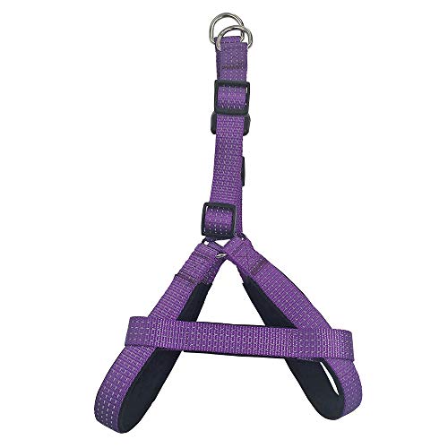 Arquivet 17645 Geschirr Violett, 2,5 x 55-75 cm von Arquivet