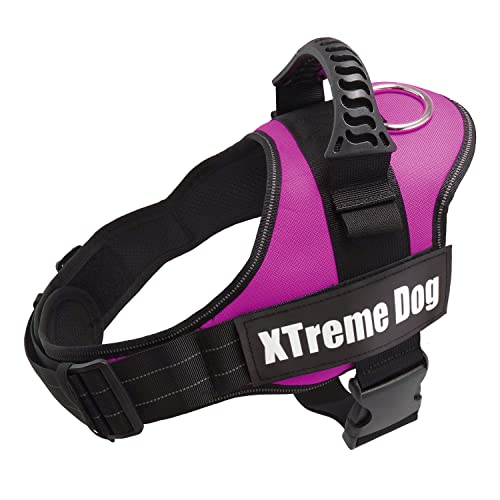 Arquivet Xtreme Hundegeschirr für Hunde, Rosa, Größe: XS/44-57 cm, verstellbar und ergonomisch, Hundegeschirr, robust, ideal für Spaziergänge mit Ihrem Haustier, Zubehör für Hunde von Arquivet