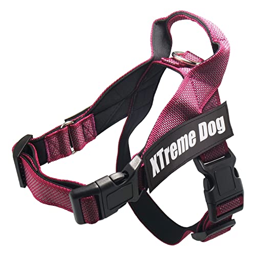 Arquivet Xtreme Dog Classic Hundegeschirr, Rosa, Größe XS/40-53 cm, verstellbar, ergonomisch und robust, inkl. Griff an der Oberseite zum Spazierengehen von Arquivet