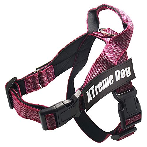 Arquivet Xtreme Dog Classic Hundegeschirr, Rosa, Größe L/63-81 cm, verstellbar, ergonomisch und robust, inkl. Griff an der Oberseite zum Spazierengehen von Arquivet