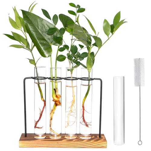 ARTORA Pflanzenvermehrungsstation Desktop Glas Pflanzenterrarium mit Holzsockel Indoor Dekorative Blume Pflanzer Hydrokultur Tube Indoor Decor für Home Office Tisch von ARTORA