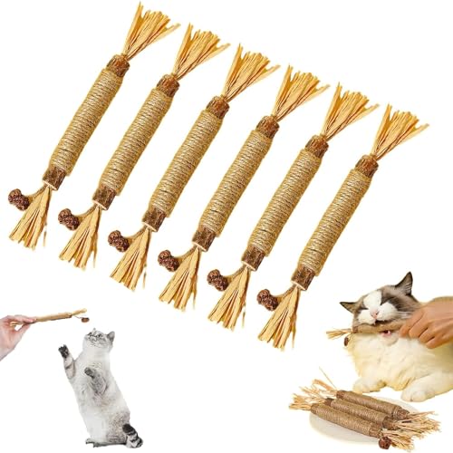 ARTSIM Katze kauen Spielzeug, natürliche Silvervine Stick Katze kauen Spielzeug, natürliche Silvervine Sticks Katze Spielzeug, Catmint Silvervine Blend Sticks, Kauspielzeug für Zahnreinigung (6pcs) von ARTSIM