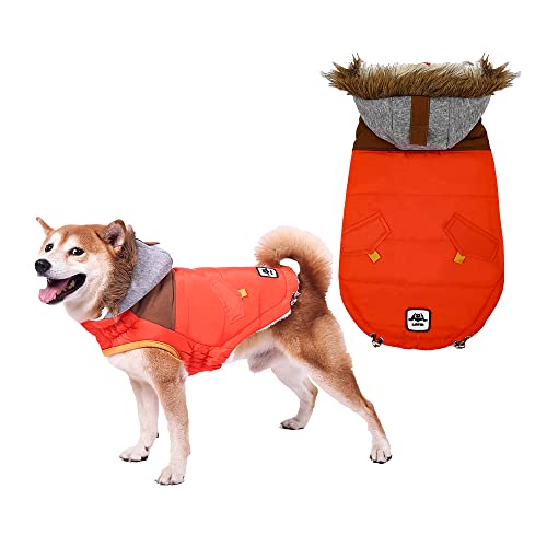 Hundemantel für Kleine Hunde, Wasserdichter Warmer Hund Wintermantel, Hundejacke, Hunderegenmantel Wasserdicht Grosse Hunde, Regenmantel Hund für Große Mittelgroße Kleine Hunde (Orange, 2XL) von ARVOV