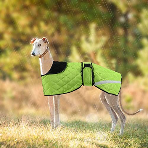 Windhunde, Wintermantel, Whippet, warmer Mantel, Outdoor-Hundebekleidung mit verstellbaren Bändern, für mittelgroße und große Lurcher Salukis Hunde in der regnerischen Jahreszeit oder Winter – Grün von ARVOV