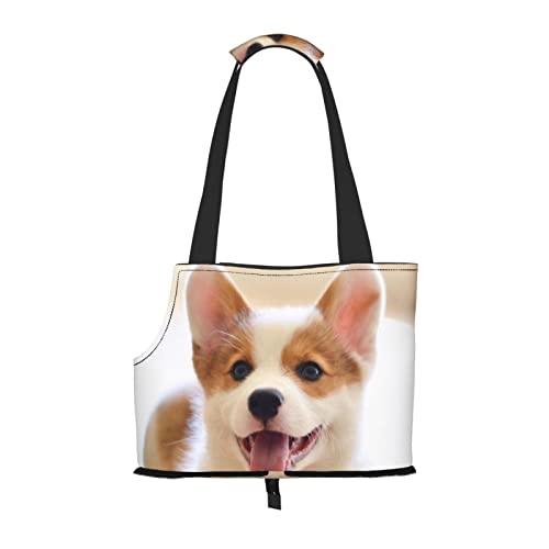 Niedliche Corgi-Haustier-Reise-Handtasche, Hundebörse, Haustier, kleine Hunde-Geldbörse, tragbar und sicher, bequem und schön. von ASEELO