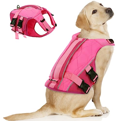 ASENKU Schwimmweste Hunde für Kleine Mittel Große Hunde, Verstellbar & Ripstop Hundeschwimmweste,Rettungsweste für Hunde mit Griff und Reflektierend zum Bootfahren,Schwimmen,Surfen, XL von ASENKU