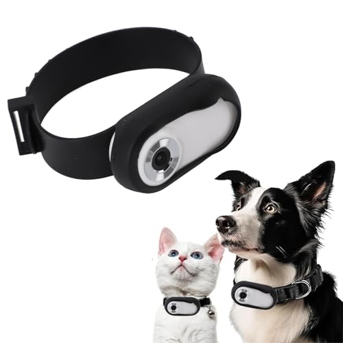 HD 1080P Katzenhalsbandkamera, Haustierkamera, Katzenkamerahalsband, Hundehalsbandkamera für Videos und Fotos mit 170° Weitwinkel USB Wiederaufladbar, Verstellbar von ASHATA