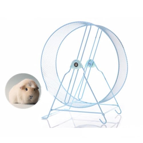 ASIAD Haustier Laufrad Hamster Laufrad Metall Silent Spinner Spielzeug mit Ständer für Kleintier Rattenmäuse Rennmäuse Zwerghamster,Blau von ASIAD