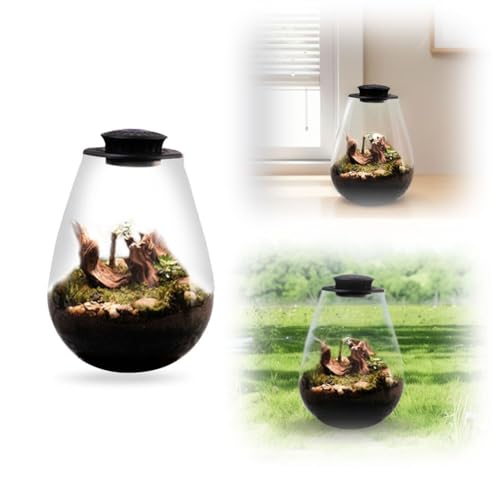 ASIEIT Desktop-Glas-Pflanzenterrarium mit Wachstumslicht, Mikrolandschaft, Glasflasche, Sukkulenten-Moos-Landschaft, Glasterrarium for Zuhause, Garten, Büro, Tischdekoration (BS) von ASIEIT