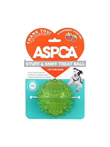 ASPCA Stuff N Sniff Kauspielzeug für Welpen, kein giftiges TPR-Gummi für kleine bis mittelgroße Hunde, zufällige Farbe von ASPCA