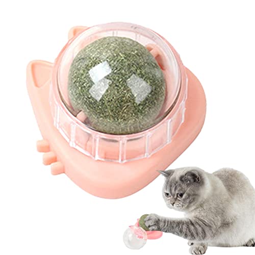 ASTRL Katzenminze-Wandball | Cat Nips Bio-Ball, essbares Kätzchenspielzeug | Essbares Katzenleckspielzeug, Katzenkauspielzeug, Zahnreinigungskatzenbissspielzeug, drehbares Katzenspielzeug von ASTRL