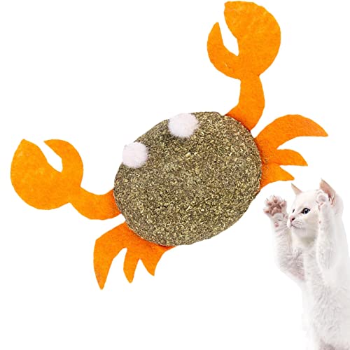 ASTRL Kauspielzeug für Katzen,Niedliches Silvervine-Spielzeug für Katzen zu Kauen | Cat Catnip Ball Toy, Interaktives Katzenspielzeug für Indoor-Katzen, Kitten Cleaning Teeth Molar Tools von ASTRL