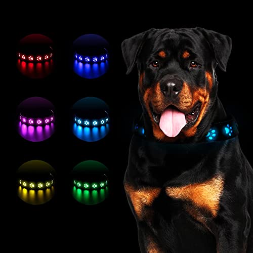 Leuchthalsband Hund,LED Leuchthalsband für Hunde Aufladbar,Hundehalsband Leuchtend Halsband für Hunde Einstellbare Größe Sicherheit,7 Farbwechsel Halsband Hund Helle Sicherheit,M,15.7"-19.7",40-50cm von ASelected