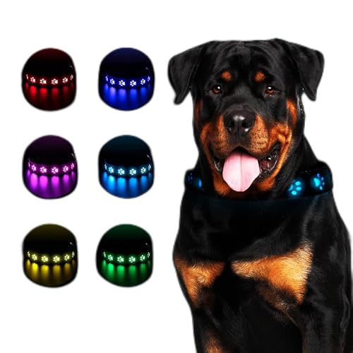 Leuchthalsband Hund,LED Leuchthalsband für Hunde Aufladbar,Hundehalsband Leuchtend Halsband für Hunde Einstellbare Größe Sicherheit,7 Farbwechsel Halsband Hund Helle Sicherheit,S,11.8"-15.7",30-40cm von ASelected