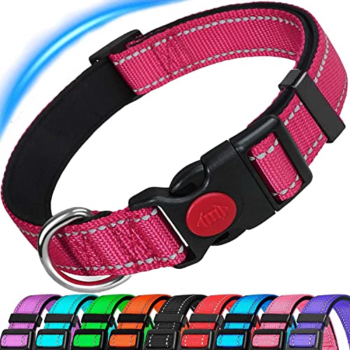 Dog Collar, Reflective Adjustable Basic Dog Collar with Soft Neoprene Padding, Durable Nylon Pet Collars for Puppy Small Medium Large Dogs von ATETEO