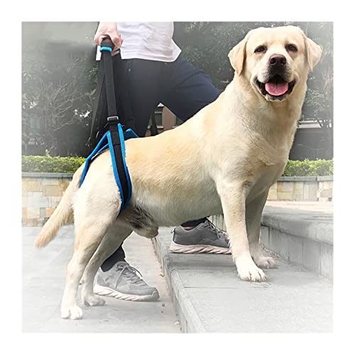 ATUMY Hundetoilette Haustiermatte Verstellbarer Haustier Hund Sling Hebel Harness Bein Beg Brece Hinterbein Helfen Sie Hunde Hunde Haustiere Balance Kabelbaum Hilfsgürtel(L) von ATUMY