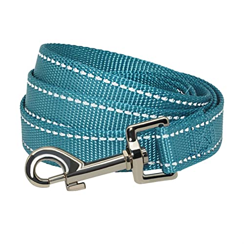 ATUMY Verstellbare Führleine Hundeleine 3M Hundeleine für kleine mittelgroße Hunde im Freien, Hundehalsband und Leine, Haustiere, Katzen, Hundeseil(Sky Blue,1.5cm x 150cm) von ATUMY